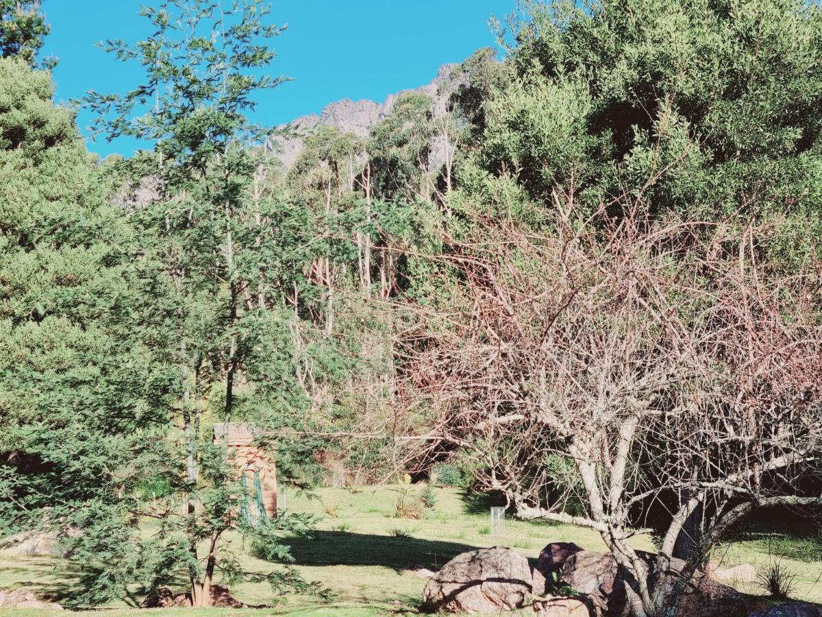Roland B&B Claude Road Bagian luar foto