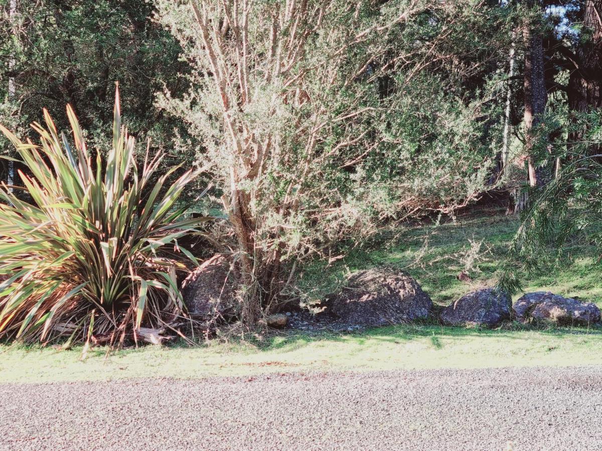 Roland B&B Claude Road Bagian luar foto