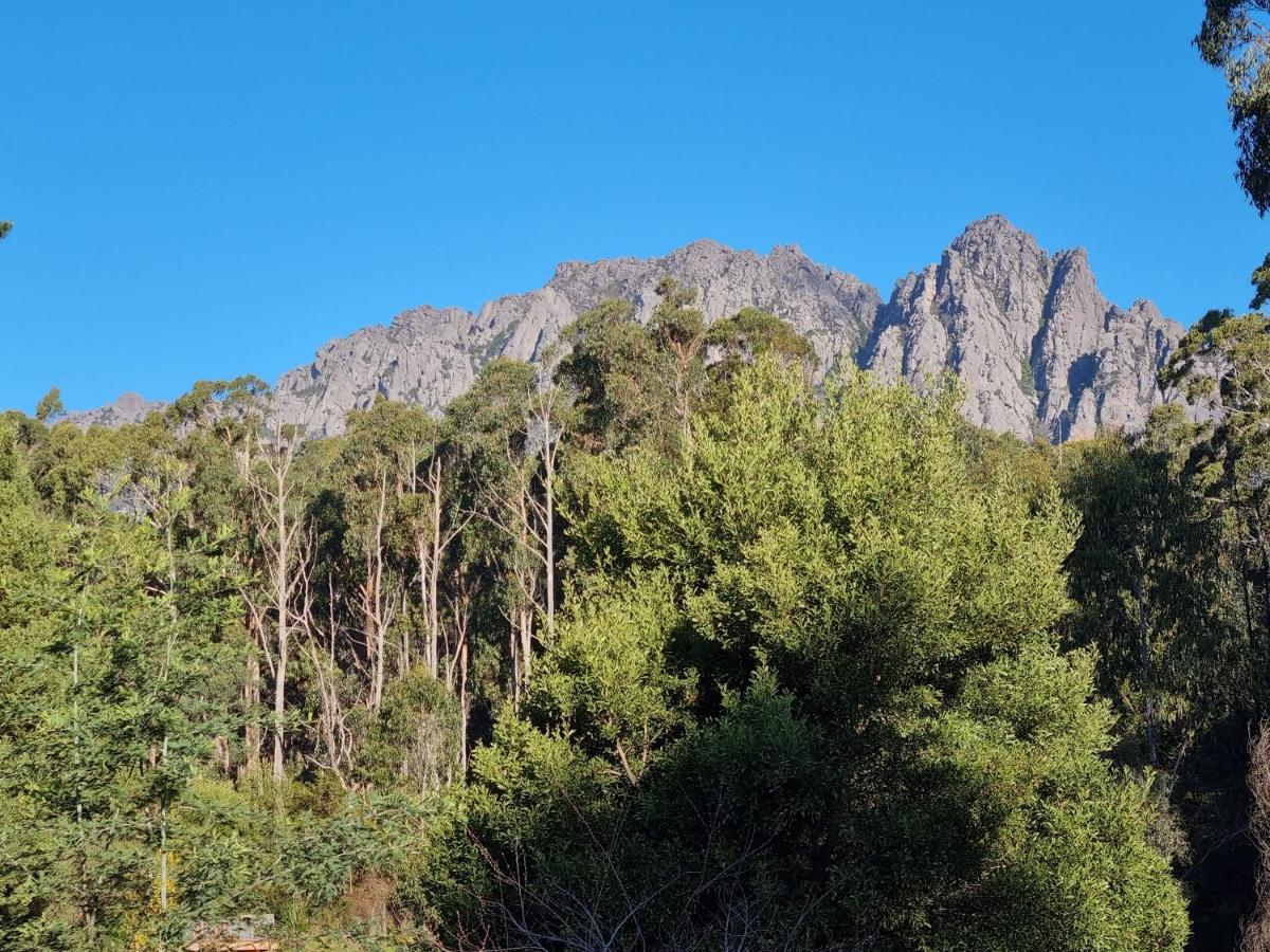 Roland B&B Claude Road Bagian luar foto