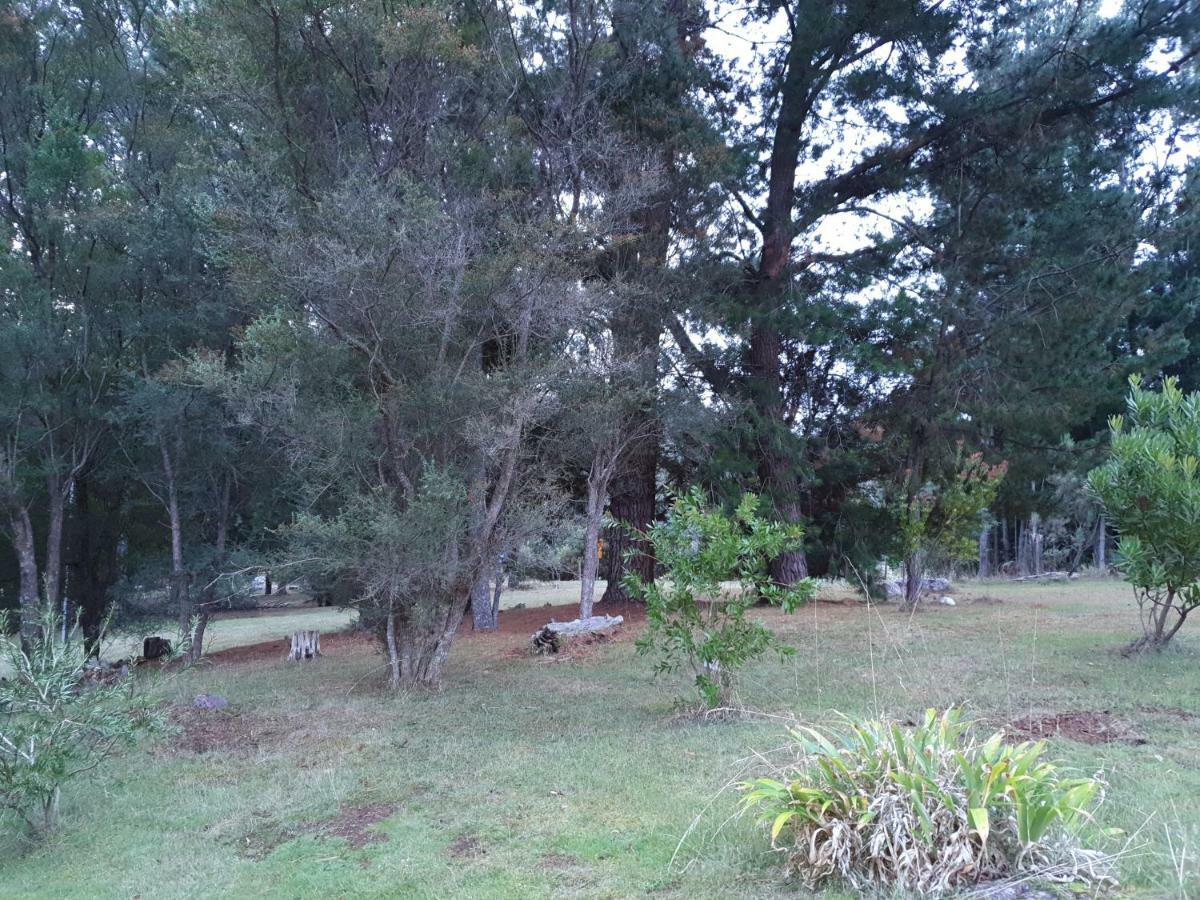 Roland B&B Claude Road Bagian luar foto