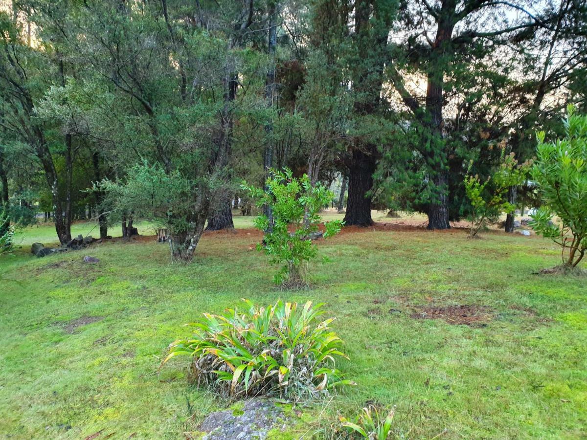 Roland B&B Claude Road Bagian luar foto